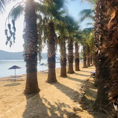 Small House In Bodrum アパート Milas