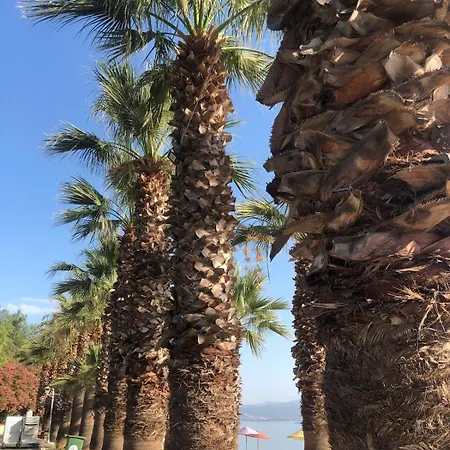 Small House In Bodrum Milas