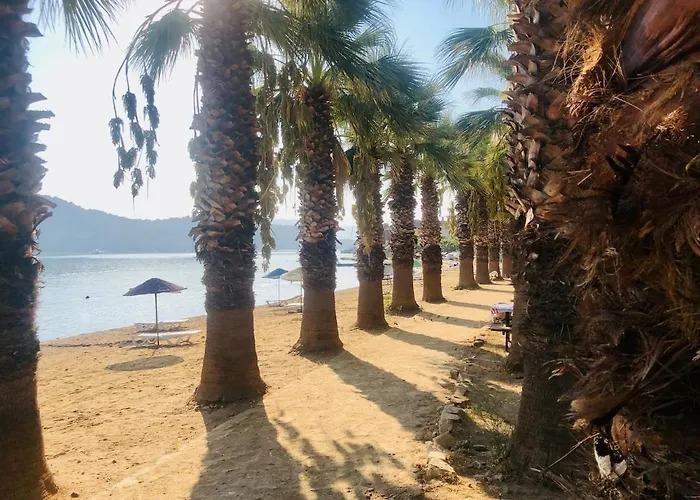 Small House In Bodrum Apartamento Milas