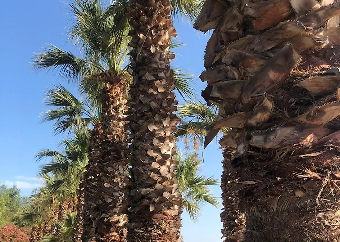 Small House In Bodrum Milas