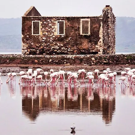 Small House In Bodrum Appartamento