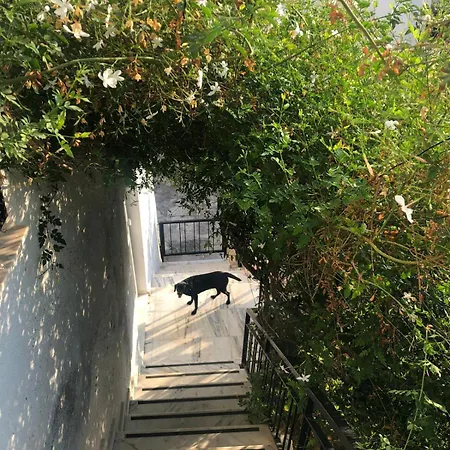 Small House In Bodrum Apartman