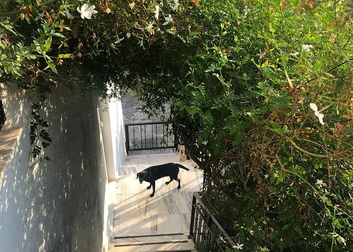 Small House In Bodrum Apartmán